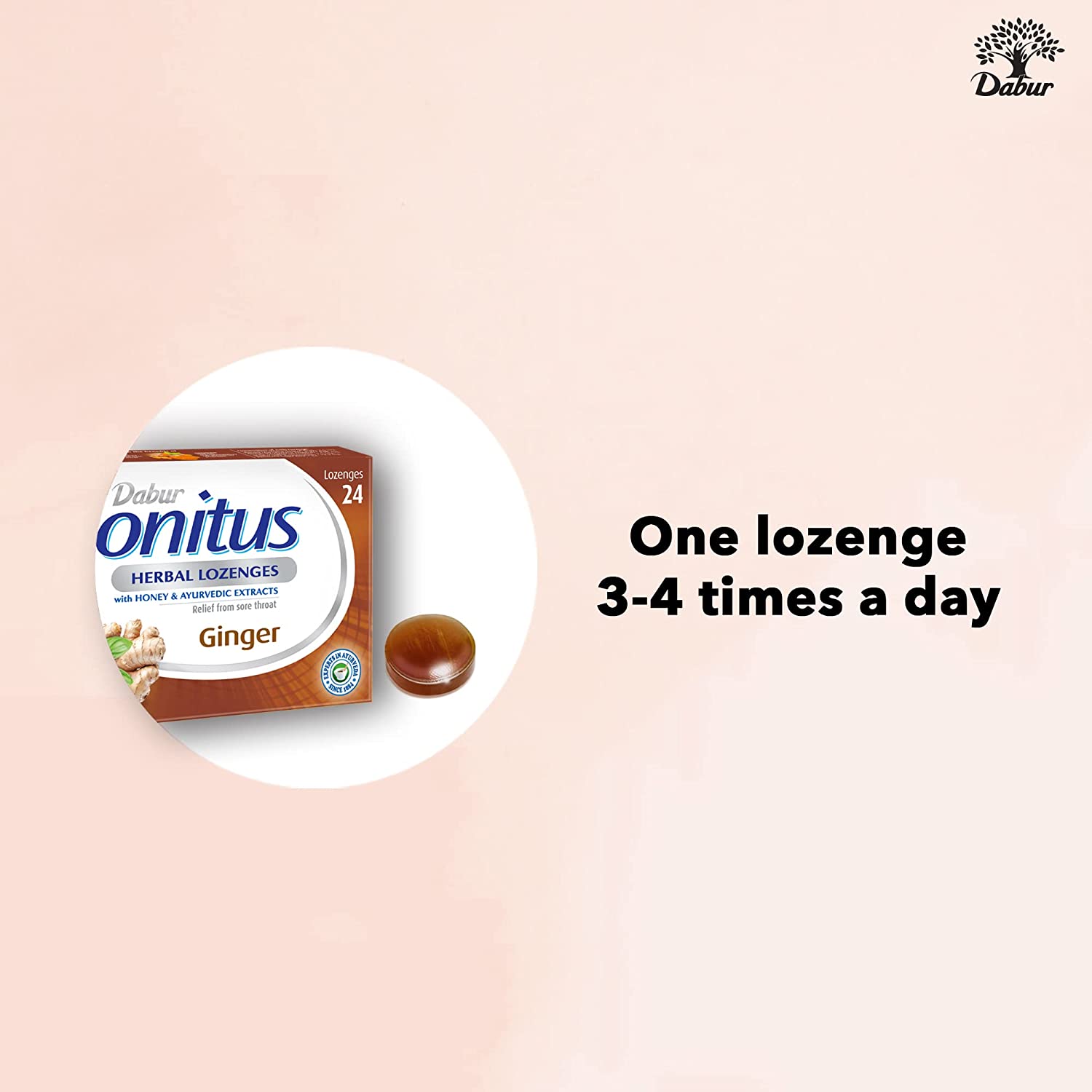 دابور هونيتوس أقراص للمص - بنكهة الزنجبيل، 24 قرص