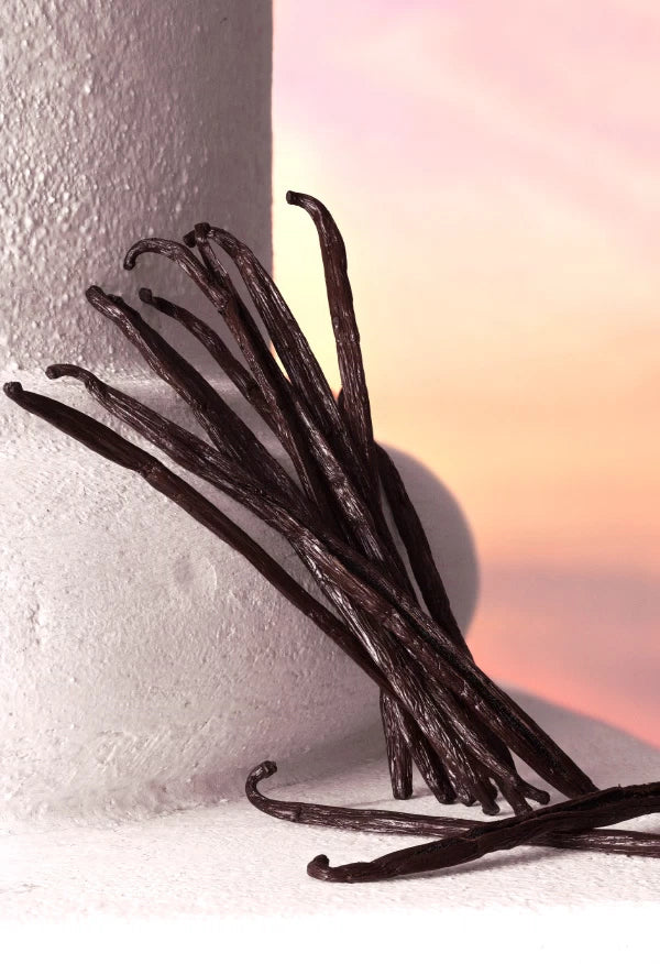 Devotion Eau de Parfum Intense