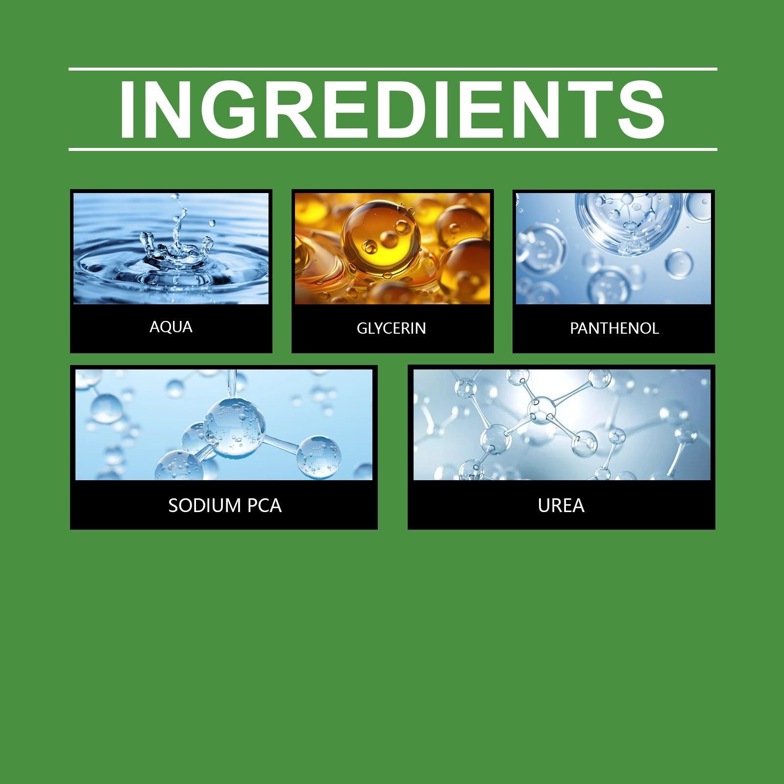 Boost Plant Growth with Top-Rated Plant Nutrient Solution, Fast Root Development, Healthy Flowers and Vegetables ,50ml