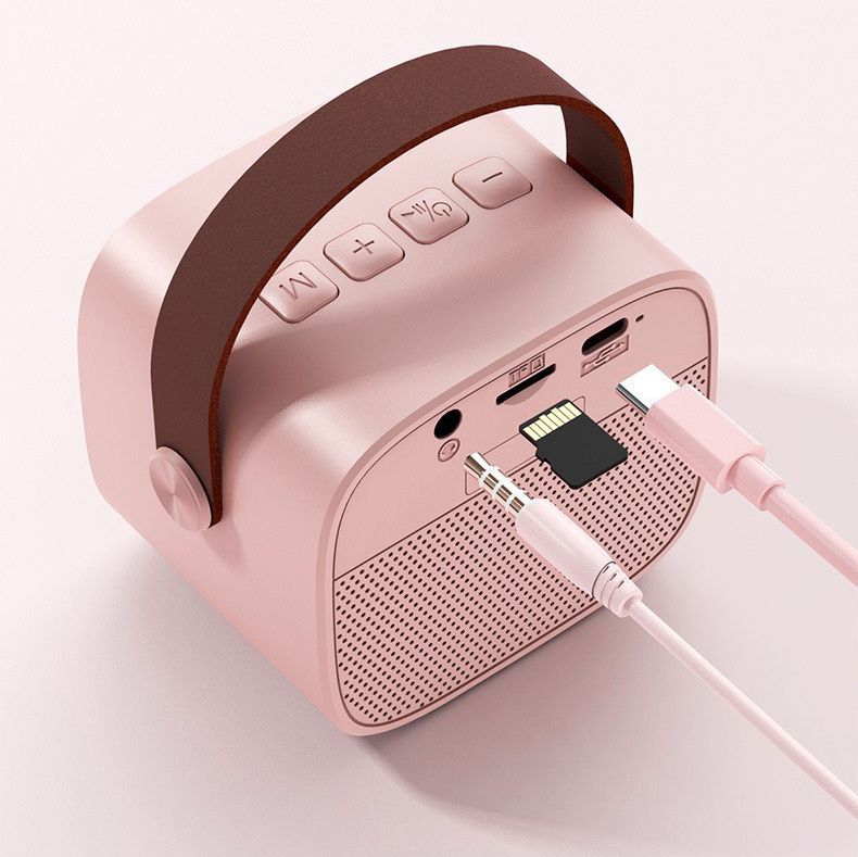 Portable Karaoke Machine Bluetooth Speaker With 2 Wireless Mic For Kids Adults