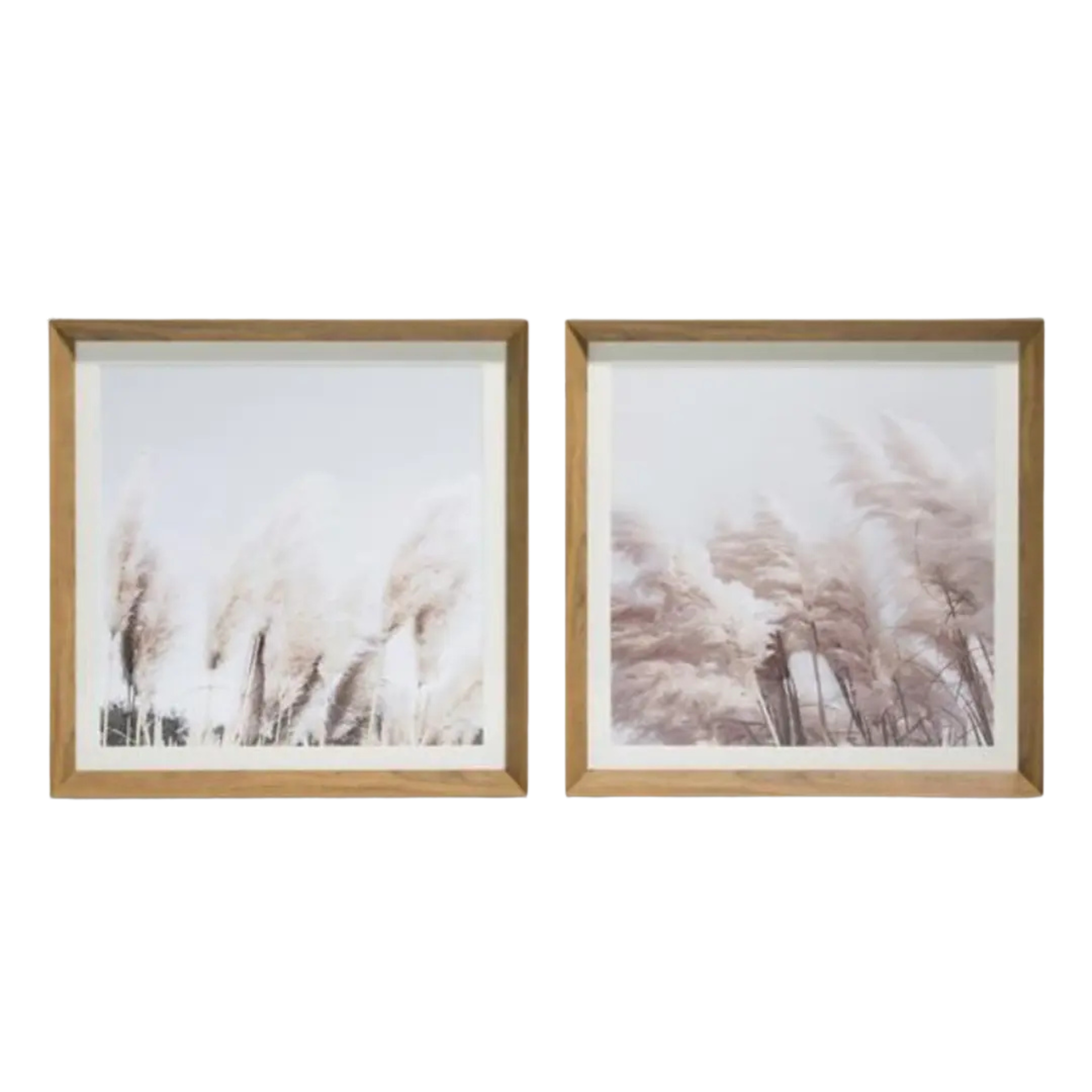 Painting Pampas Set of 2