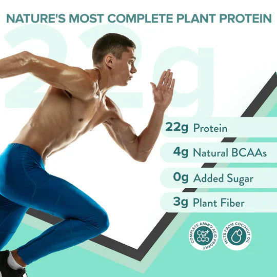 Wellbeing Nutritions Superfood Plant Protein French Vanilla Caramel