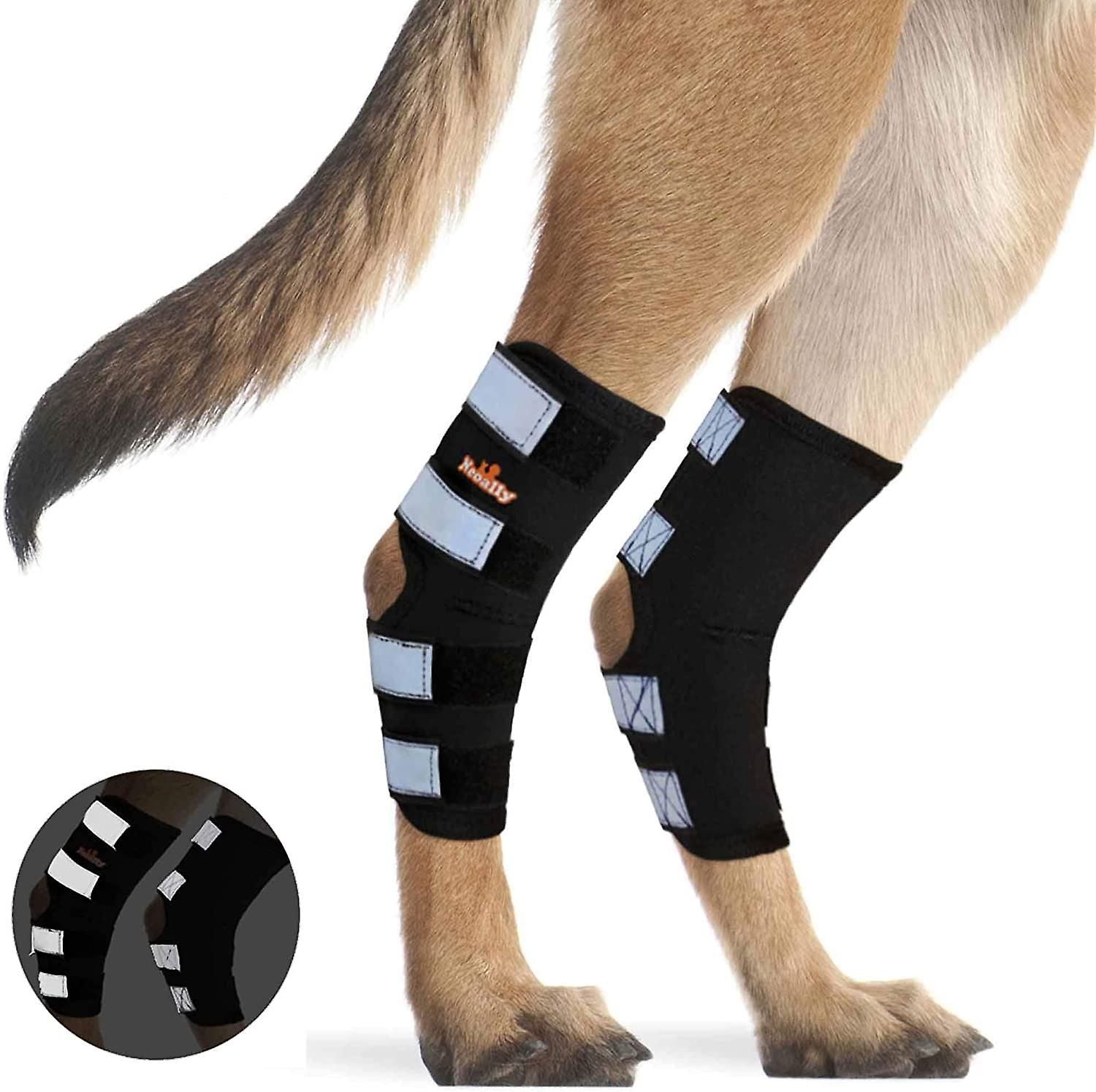 1 Pair Dog Rear Leg Brace Canine Rear Hock Joint Support With Safety Reflective Straps