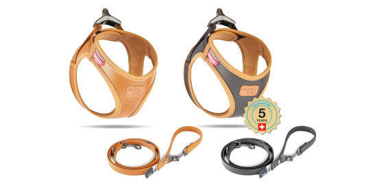 حزام كيرلي المصنوع من الجلد النباتي للكلاب - مقاس كبير