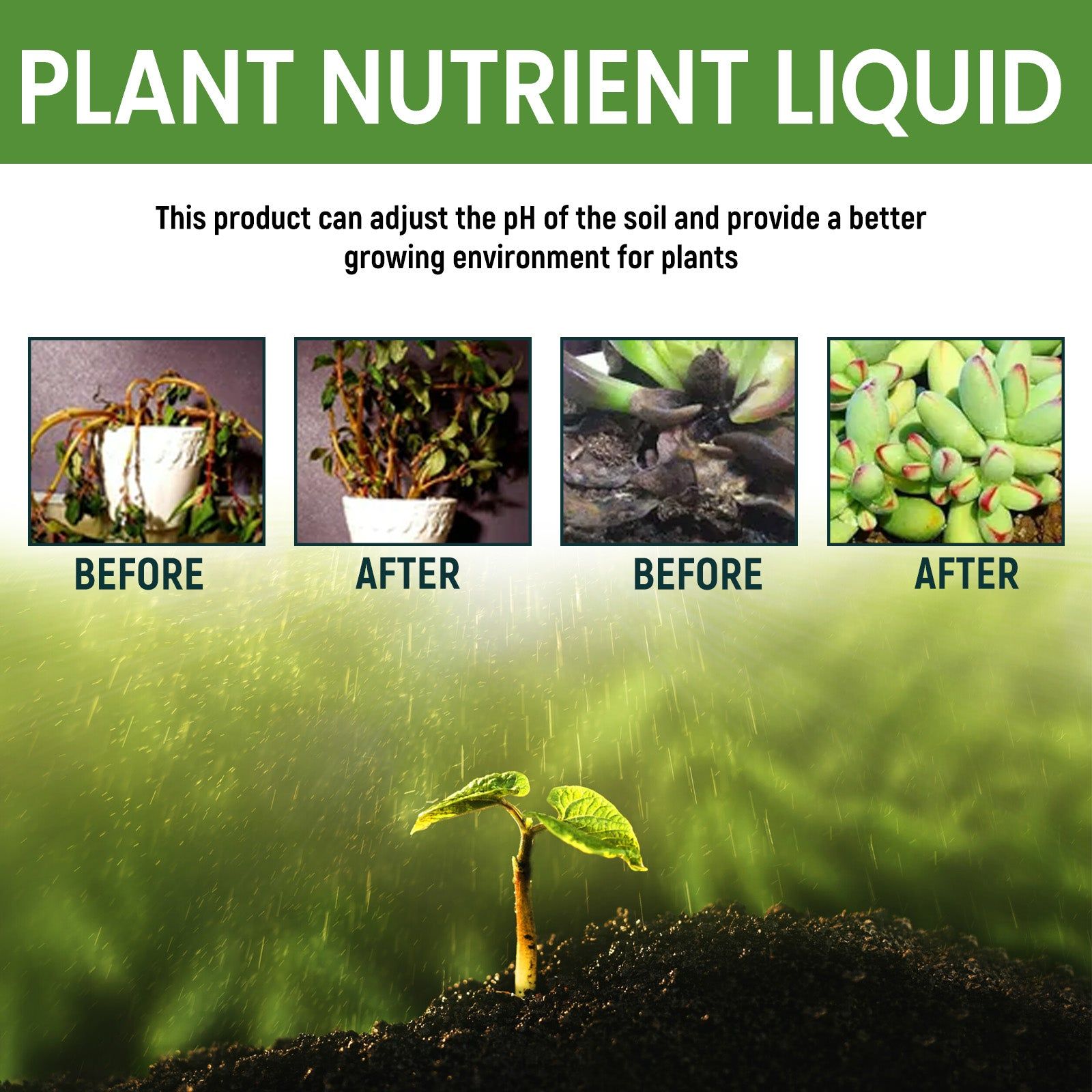 Boost Plant Growth with Nutrient Implant Solution, Garden Fertilizer for Healthy Blooms ,120ml