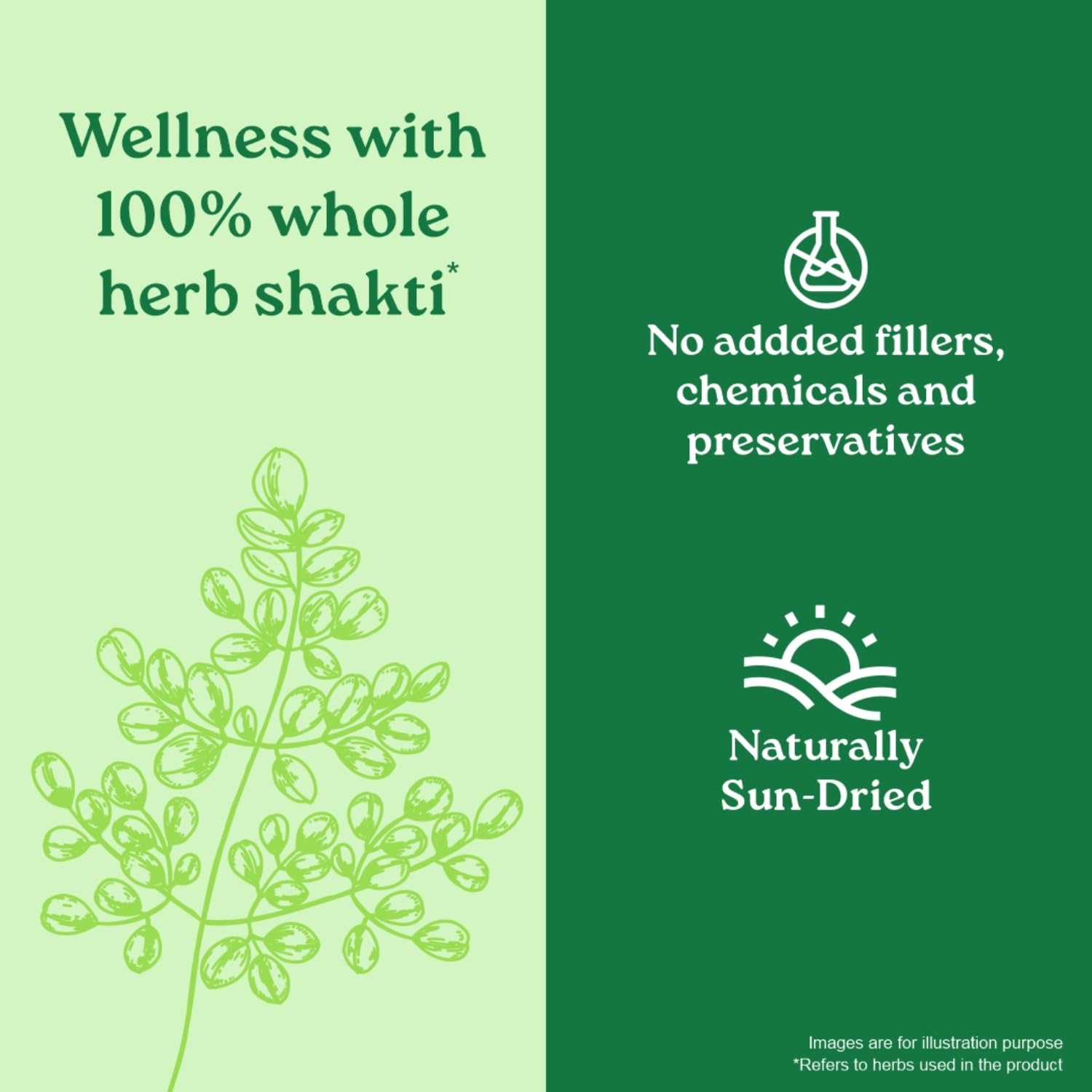 ORGANIC INDIA Moringa Powder Can 100g