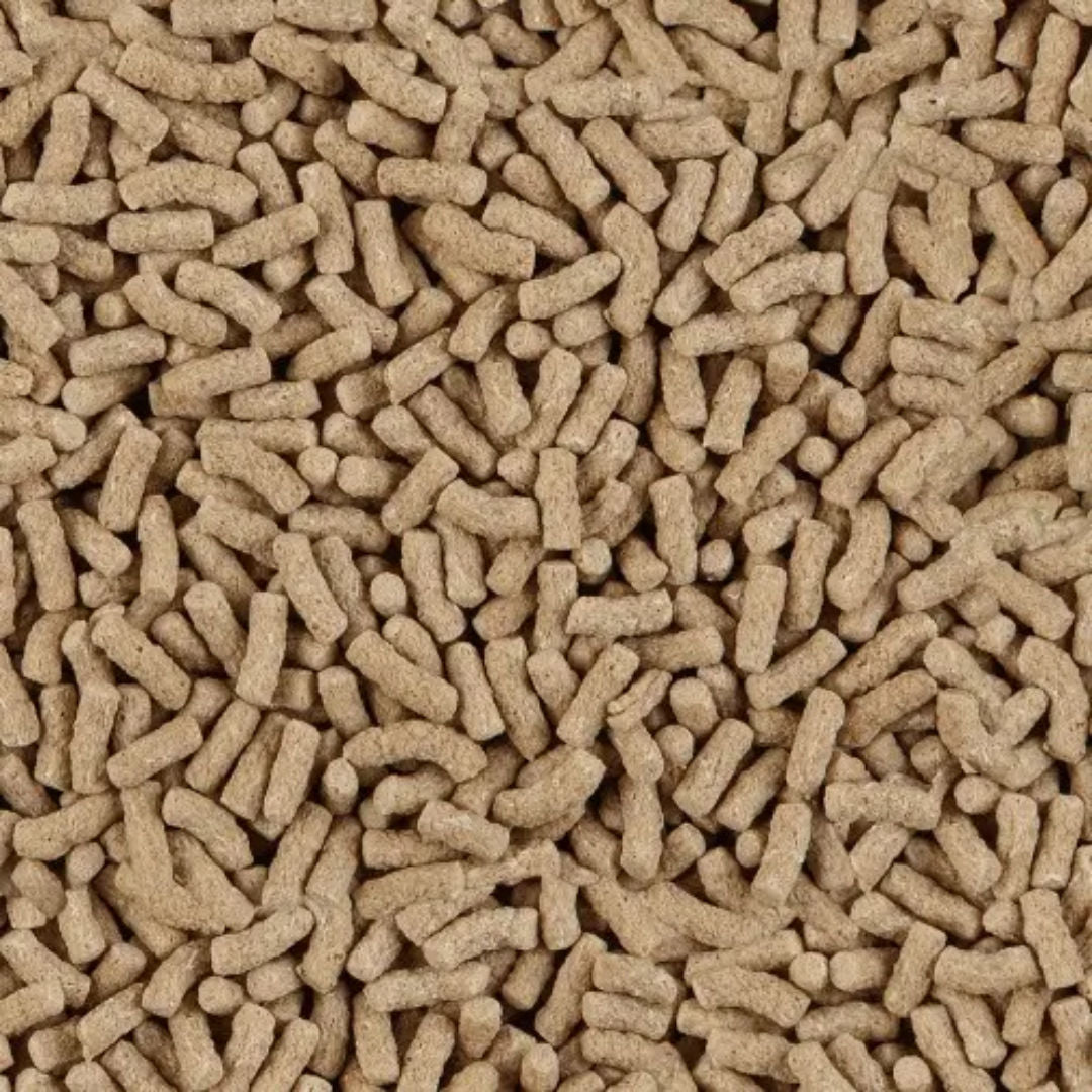Sera Pond Granulate Feed for Koi & Goldfish