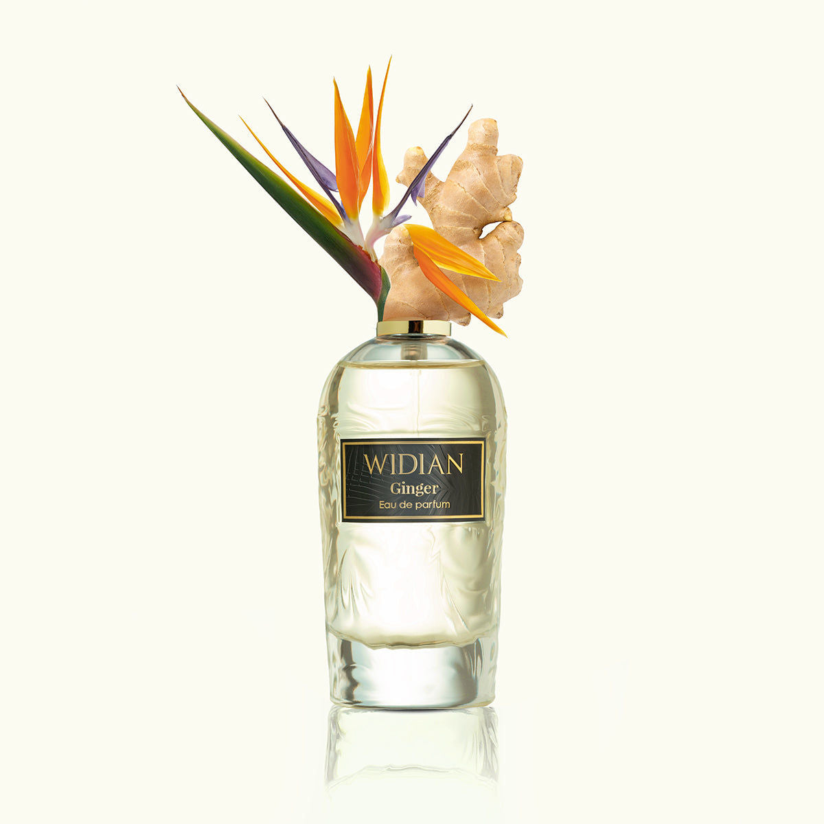 Ginger Eau de Parfum 100ml
