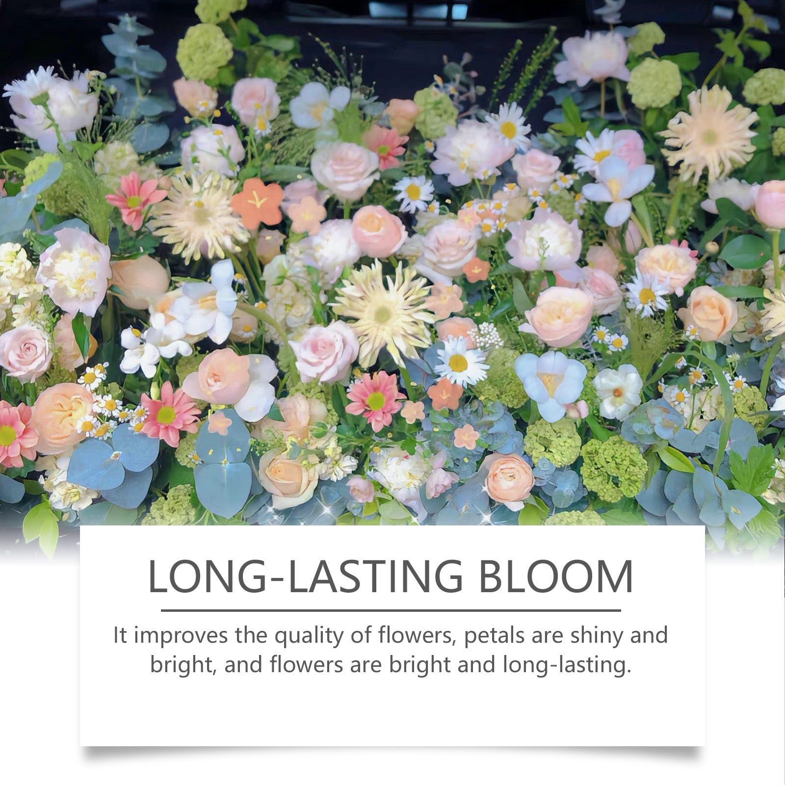 Boost Flowering with Nutrition Powder, Fast-Acting Plant Fertilizer for Vibrant Blooms ,1set