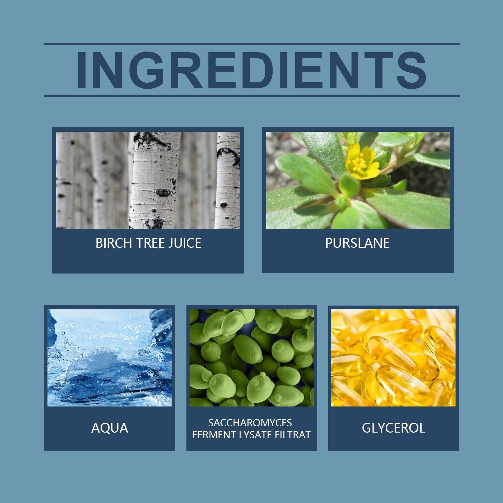 Birch Juice Face Essence, Hydrating, Gentle, Repair, Long-Lasting Moisturizer ,30ml