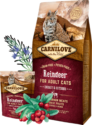 Carnilove Reindeer for Adult Cats – Energy & Outdoor 6 kg