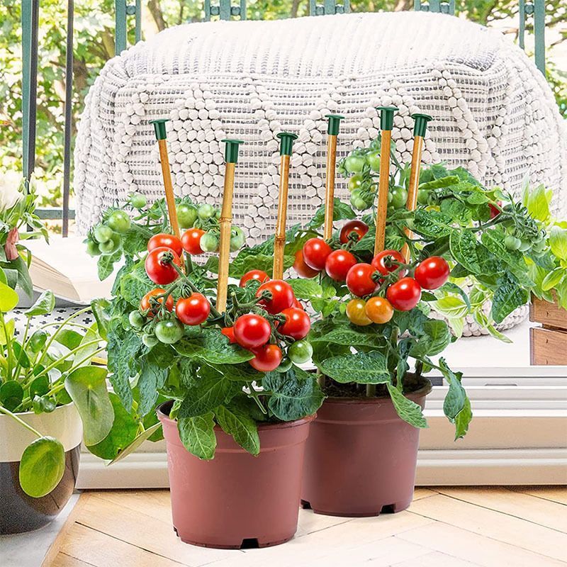 36Pcs Garden Safety Cane Caps Plastic Bamboo Cane Topper Protectors