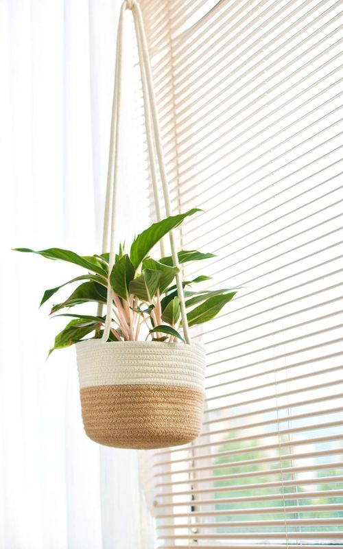 Jute Rope Woven Indoor Plant Hanging Holder For Decor