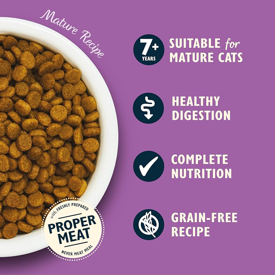 Lily's Kitchen Senior Recipe White Fish with Turkey & Trout Dry Cat Food 800gms