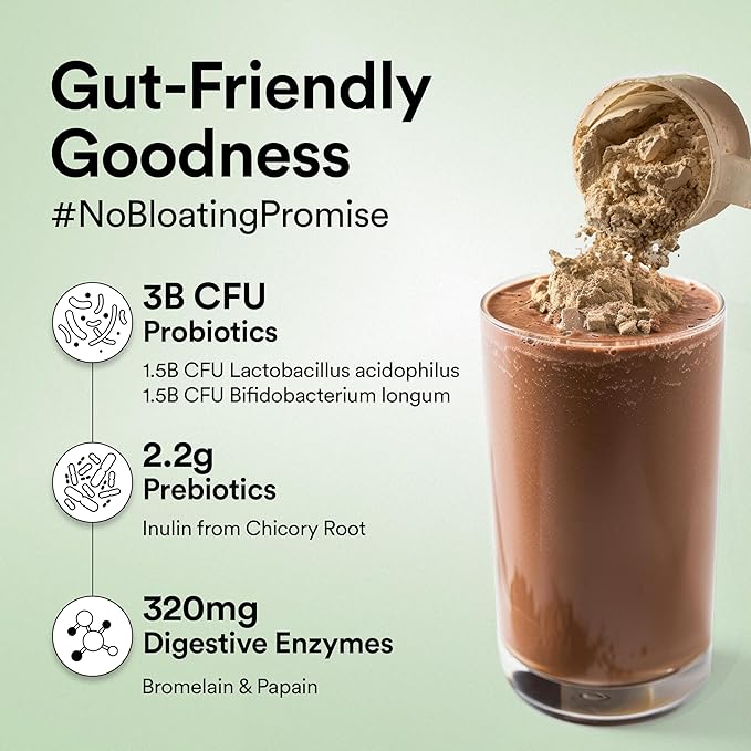 Wellbeing Nutrition Superfood Plant Protein Belgian Dark Chocolate