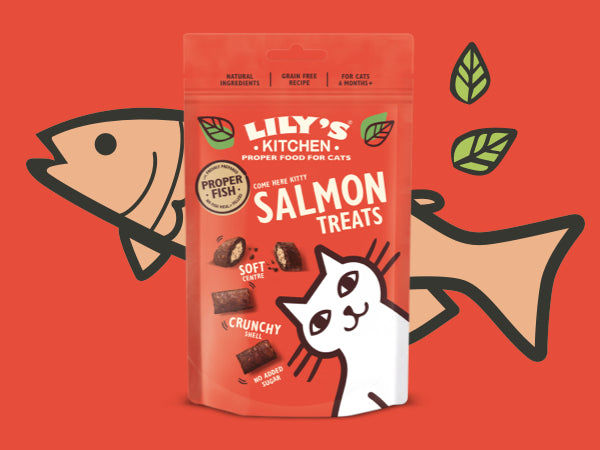 Lily's Kitchen Salmon Pillow Cat Treats 60G