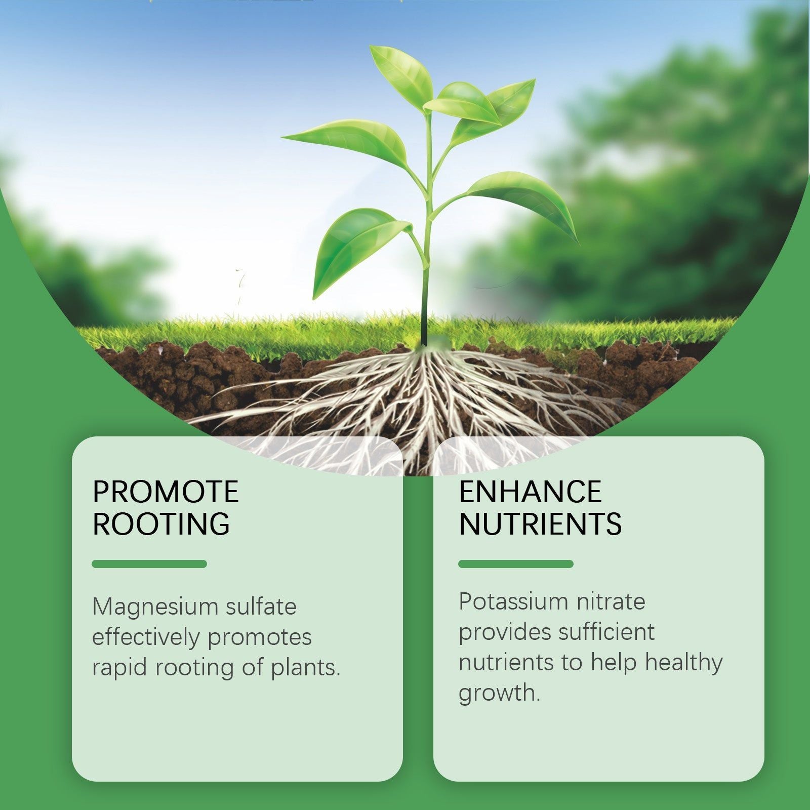 Boost Plant Nutrition, Fast Root Growth, Organic Lawn Fertilizer, Easy to Use ,50ml