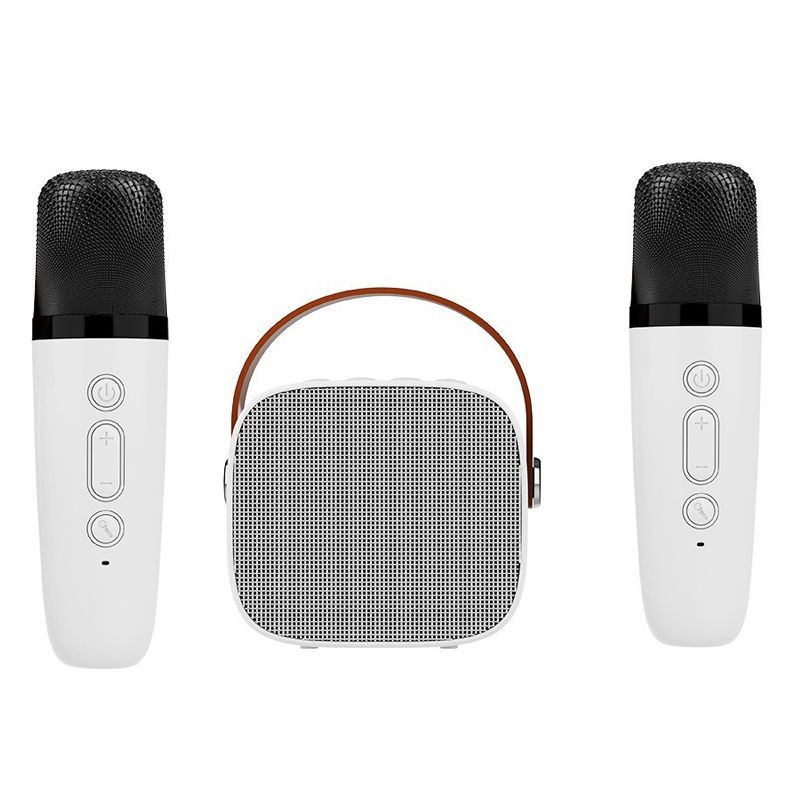 Portable Karaoke Machine Bluetooth Speaker With 2 Wireless Mic For Kids Adults