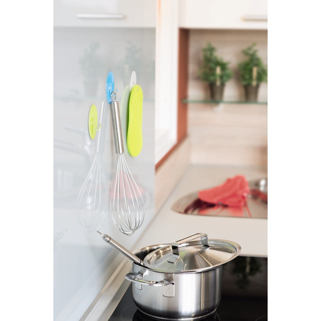 XAVAX 111536 Adhesive Pads with Plastic Hook, reuseable, 5 pieces