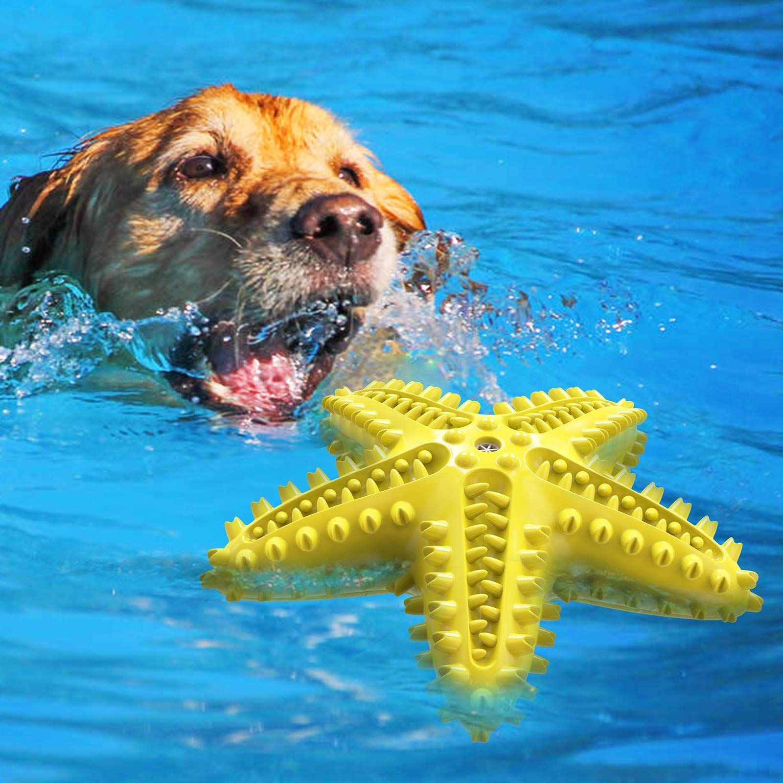 Dog Chew Toy Toothbrushes Starfish Squeaky Molar