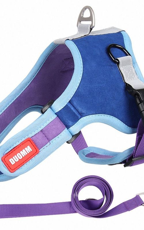 Dog Harness Leash Set Outdoor Reflective Breathable Adjustable Pet Vest