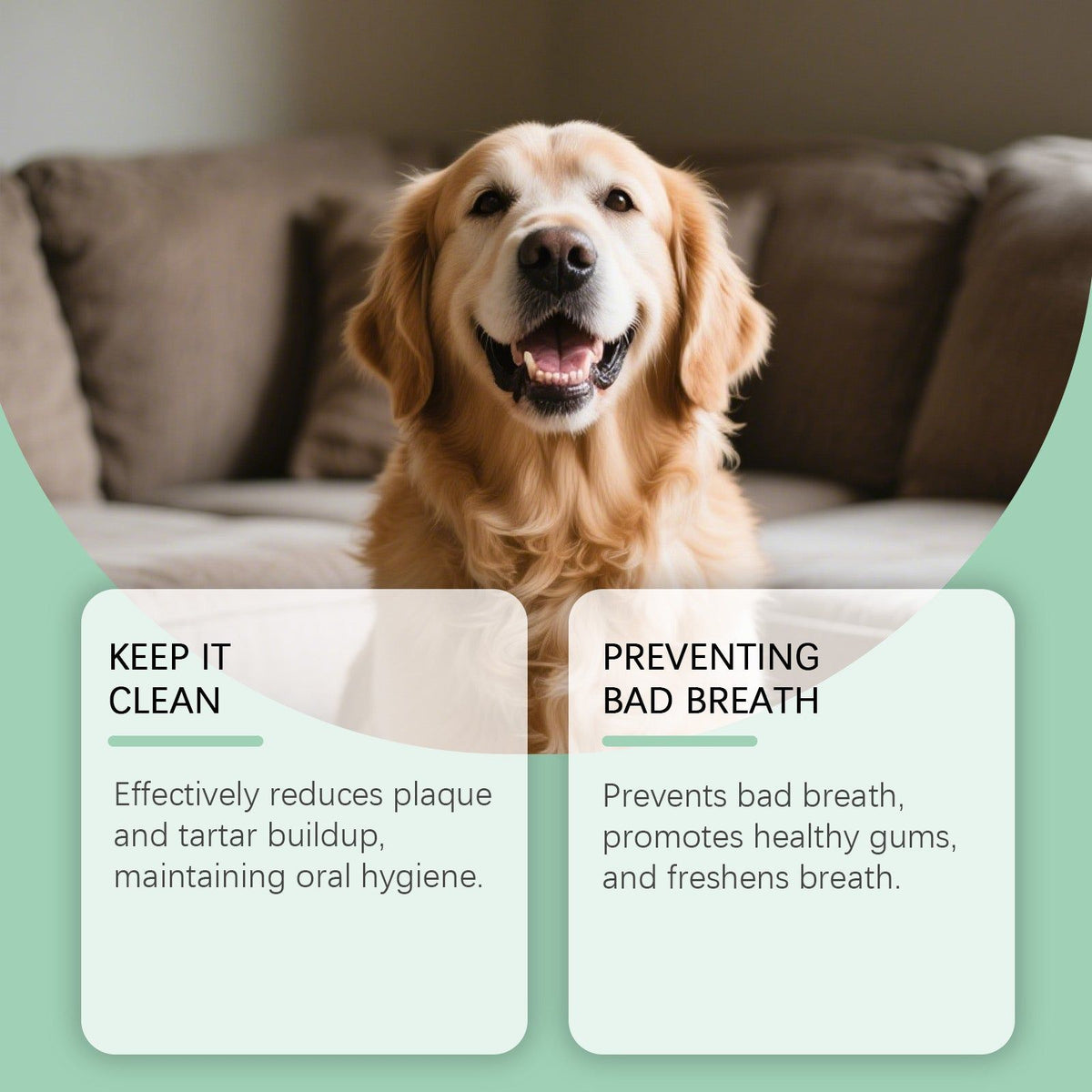 Pet Oral Spray, Take Care of Your Pet's Teeth, Fresh Breath, Tartar & Plaque Control ,120ml