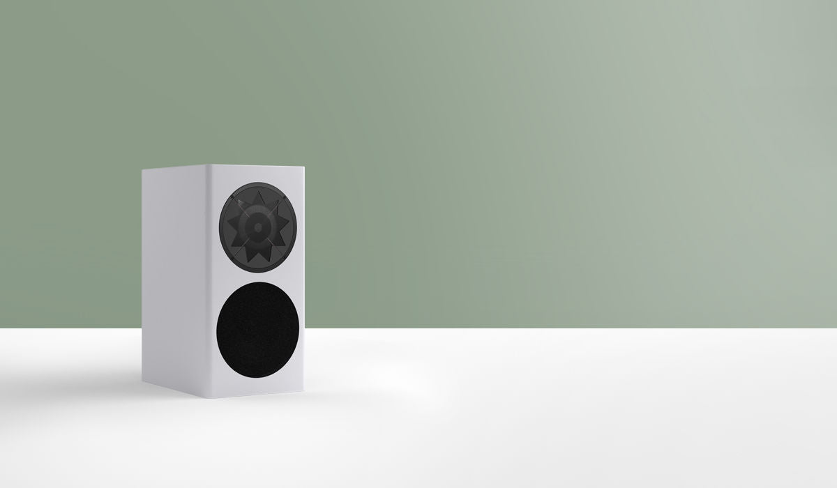 MANGER Z1 Compact Power House