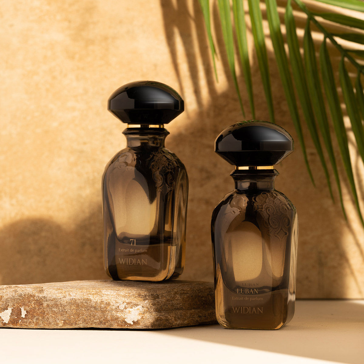 إصدار محدود 71 عطر مركز 50 مل