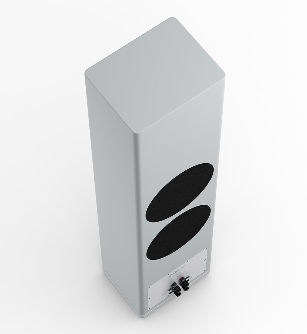 Manger P2 Passive 2-Way Floorstanding Speaker