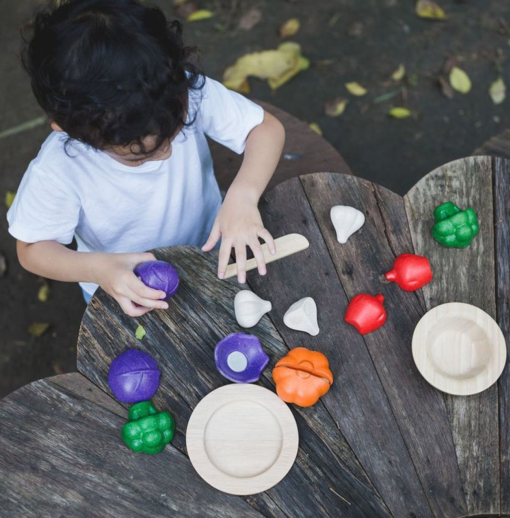 PlanToys 5 Colors Veggie Set — Wooden Pretend Play Food