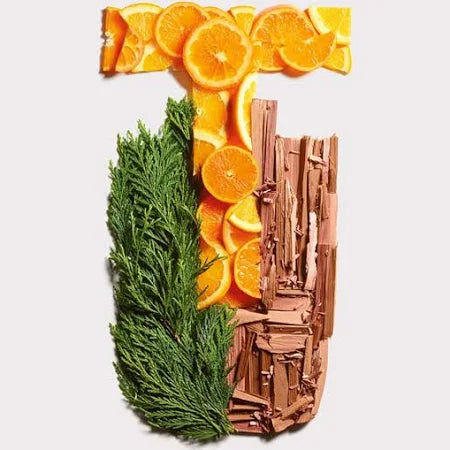 Impact Eau de Toilette 100ml + Travel Size 4ml