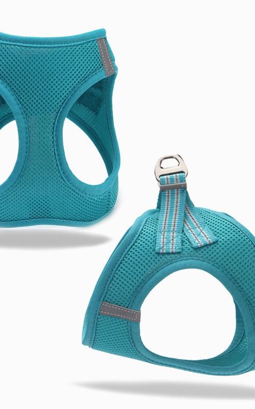 Dog Harness Adjustable Mesh Dog Vest Harness With Leash Set Pet Leash For Small Pets
