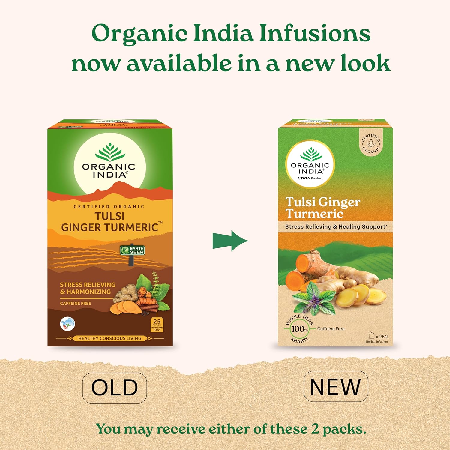 شاي تولسي الزنجبيل والكركم من ORGANIC INDIA، 25 كيس شاي