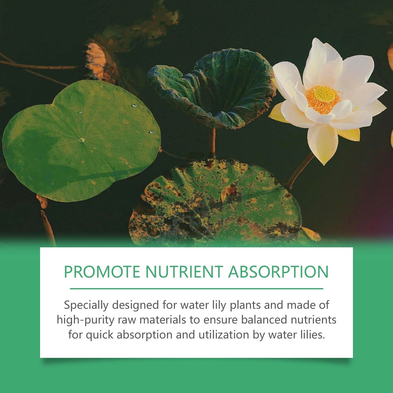 Boost Plant Nutrition, Promote Flowering, Hydroponic Lotus Fertilizer, Easy to Use ,200g