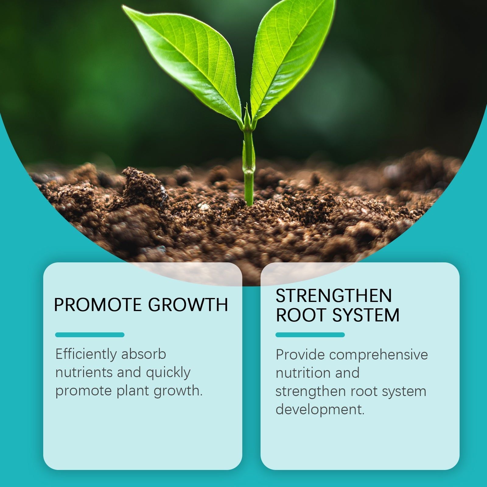Boost Plant Growth with Hydroponic Liquid Fertilizer, Nutrient Solution for Healthy Green Leaves ,100ml