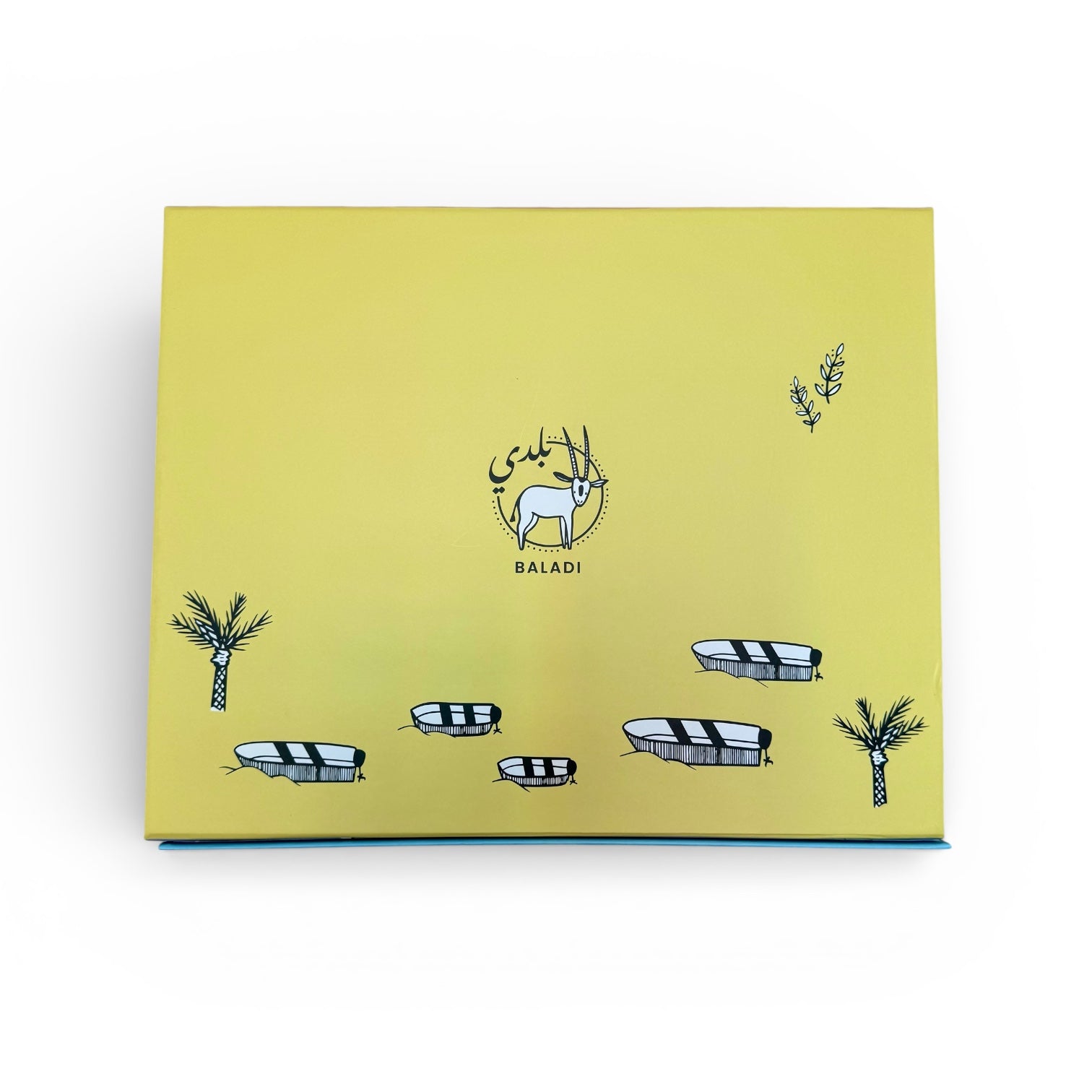 🎁 Large Gift Box