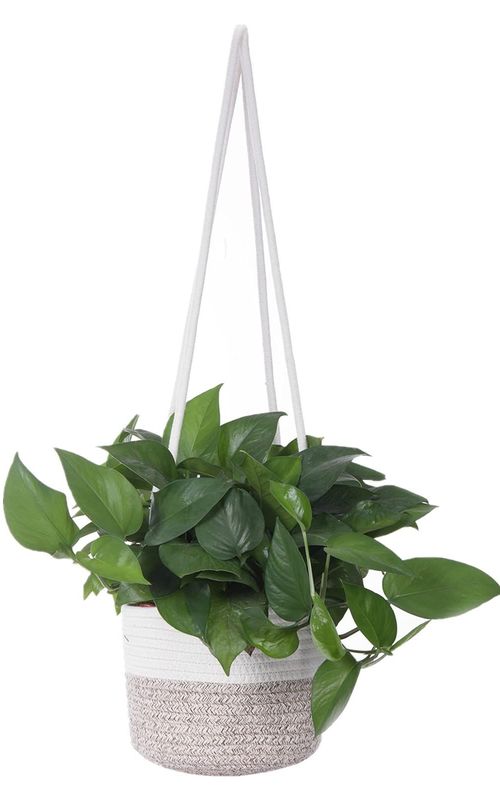 Jute Rope Woven Indoor Plant Hanging Holder For Decor