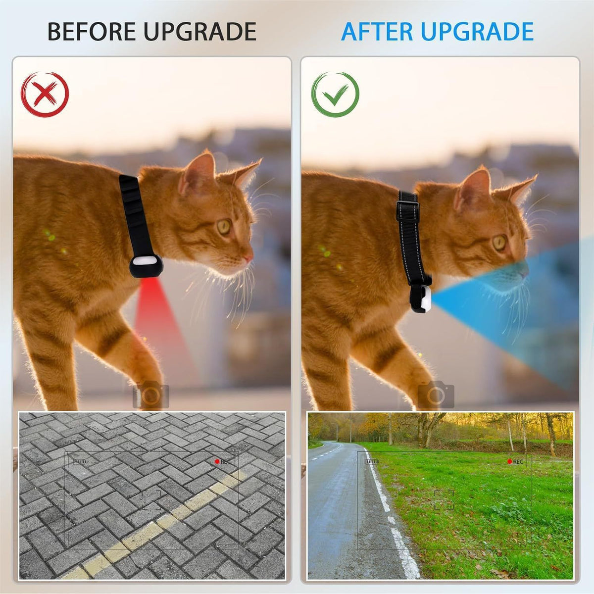 Pet Baby 1080P Cat Camera Collar Mini Body Camera No WiFi Action Camera for Cats Dogs with 32GB SD Card