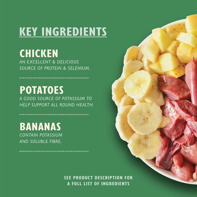 Lily's Kitchen Recovery Recipe Wet Dog Food 6x 400G