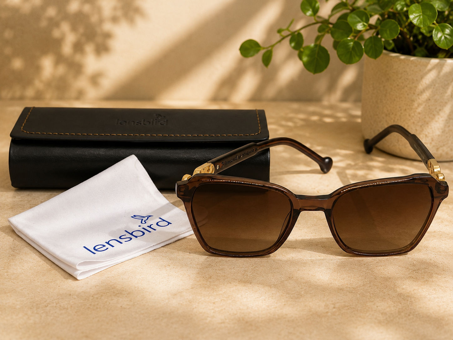 Lensbird Female Sunglass, 17338C3