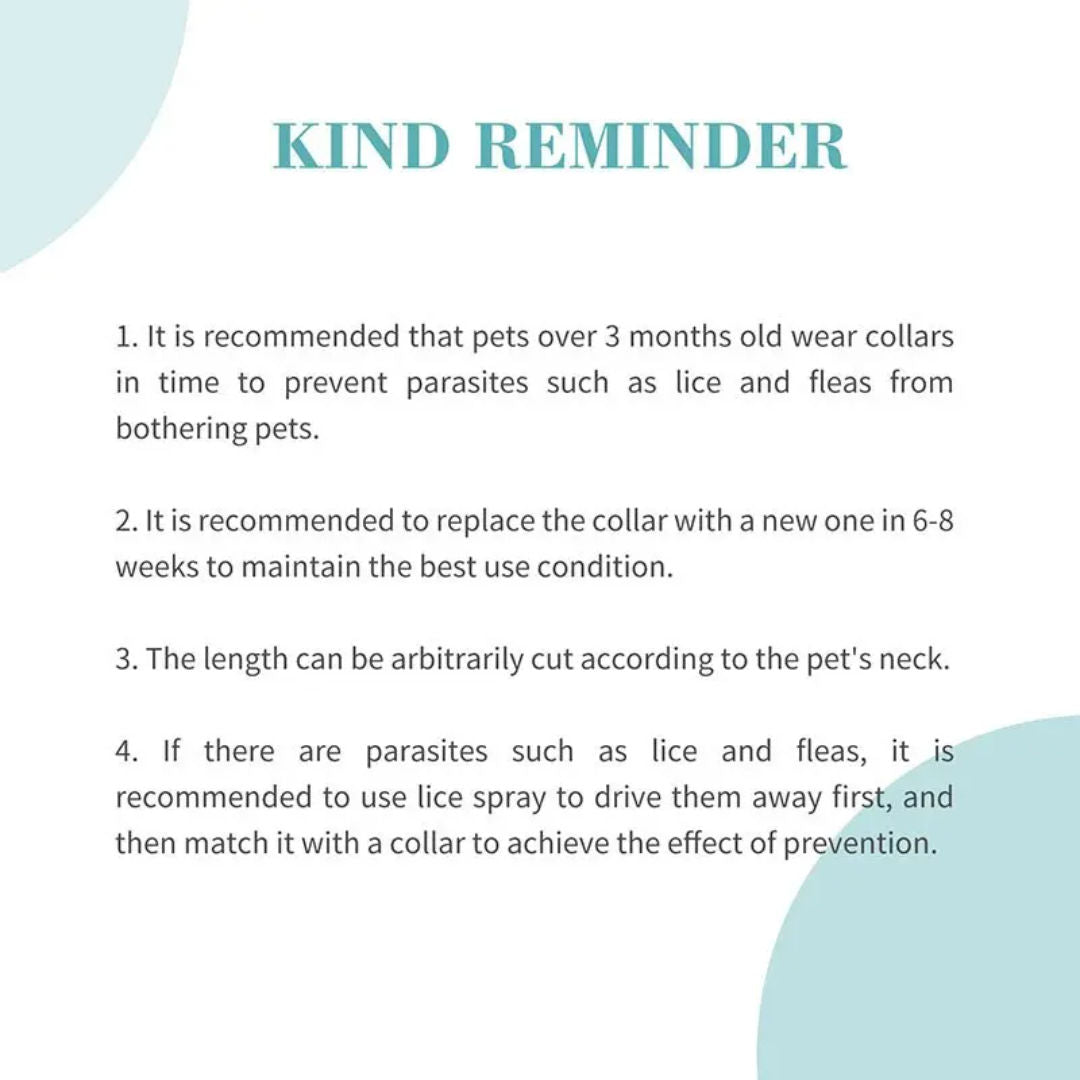 Bioline Flea and Tick Collar for Dogs, 60cm, Weight 34gm