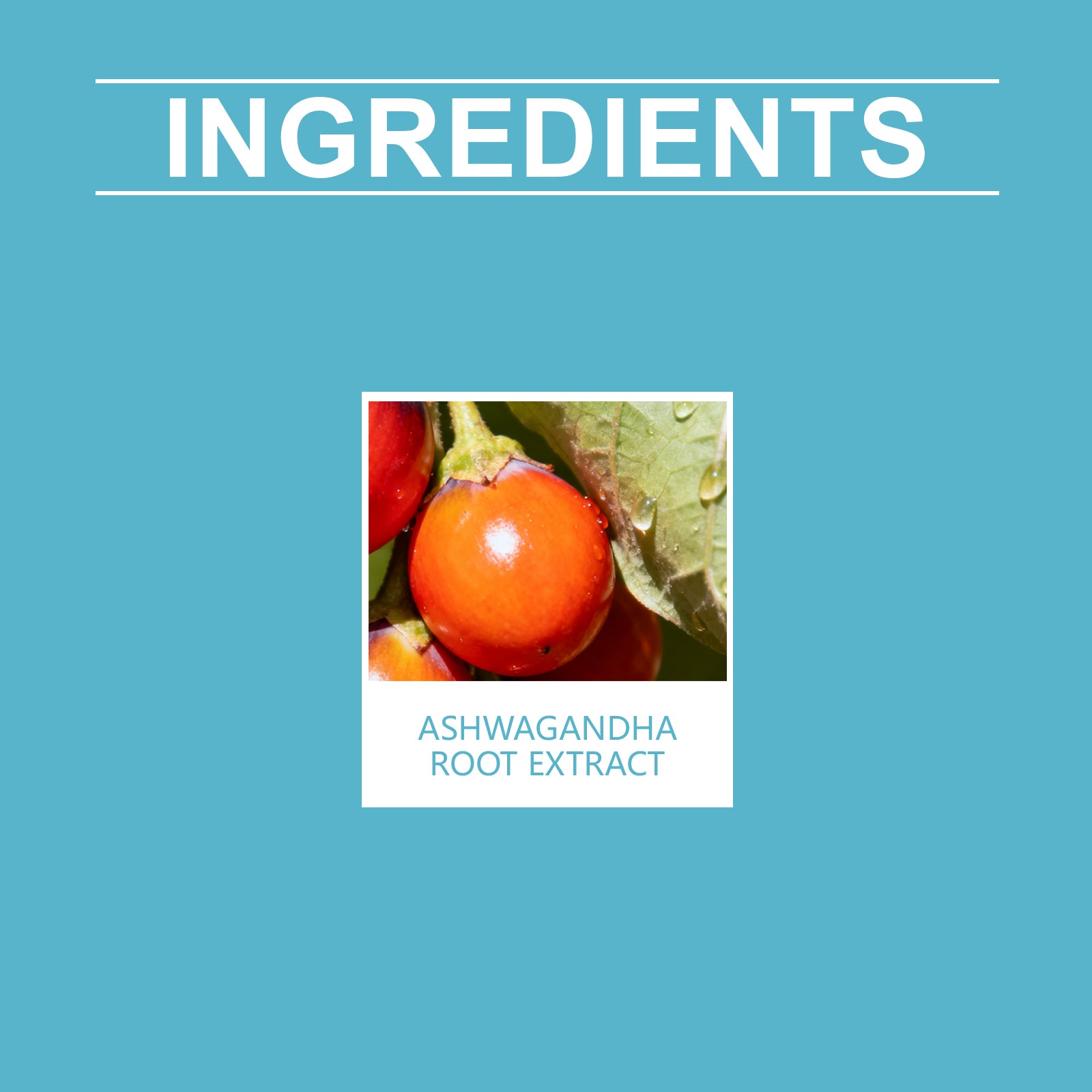 Boost Mood and Sleep with Ashwagandha Gummies, Natural Stress Relief, Body Care ,60 gummies