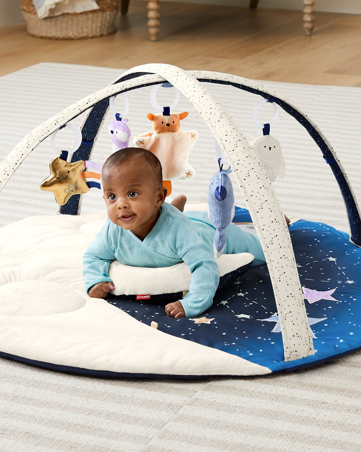 Skip Hop- Celestial Dreams Activity Gym