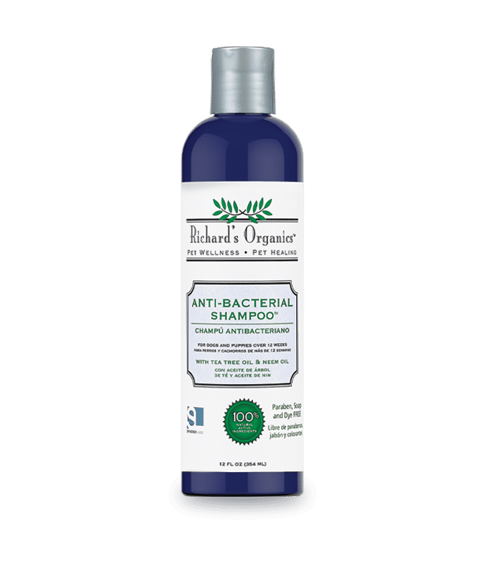 Synergy Lab Anti-bacterial Shampoo- 354ml