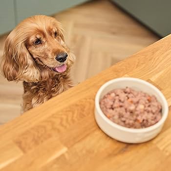 Lily's Kitchen Classic Multipack Wet Dog Food 6X150G