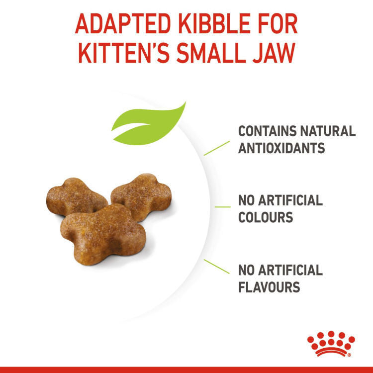 Royal Canin Feline Health Nutrition (Kitten)