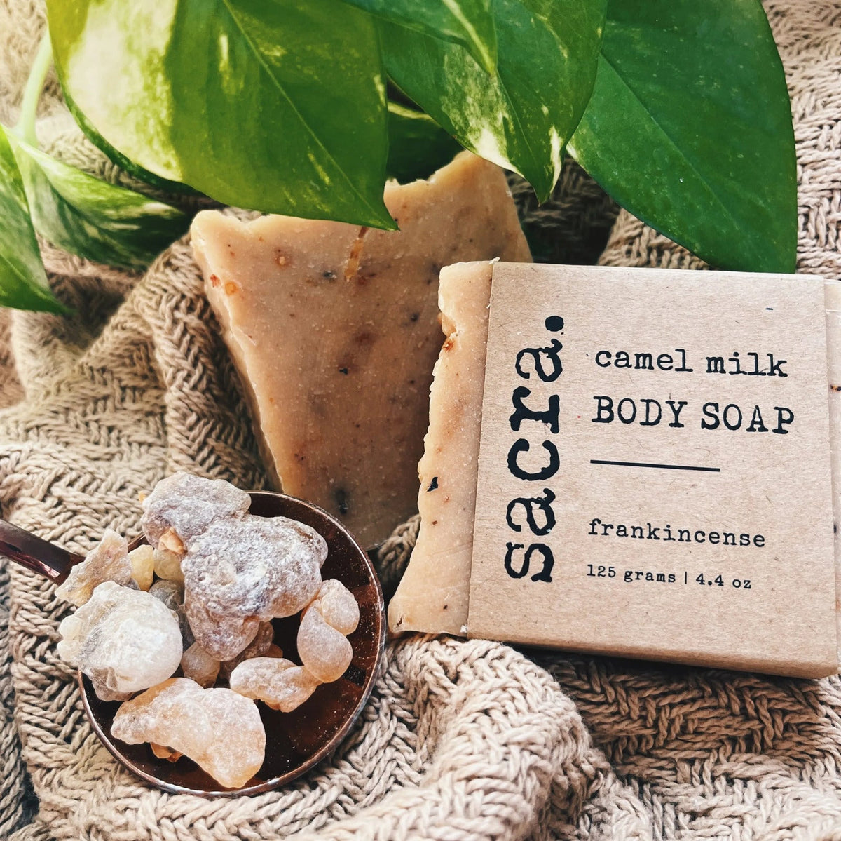 Signature Omani Frankincense Camel Milk Soap