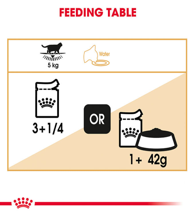 Royal Canin Feline Breed Nutrition British Shorthair - 12 Wet Food Pouches