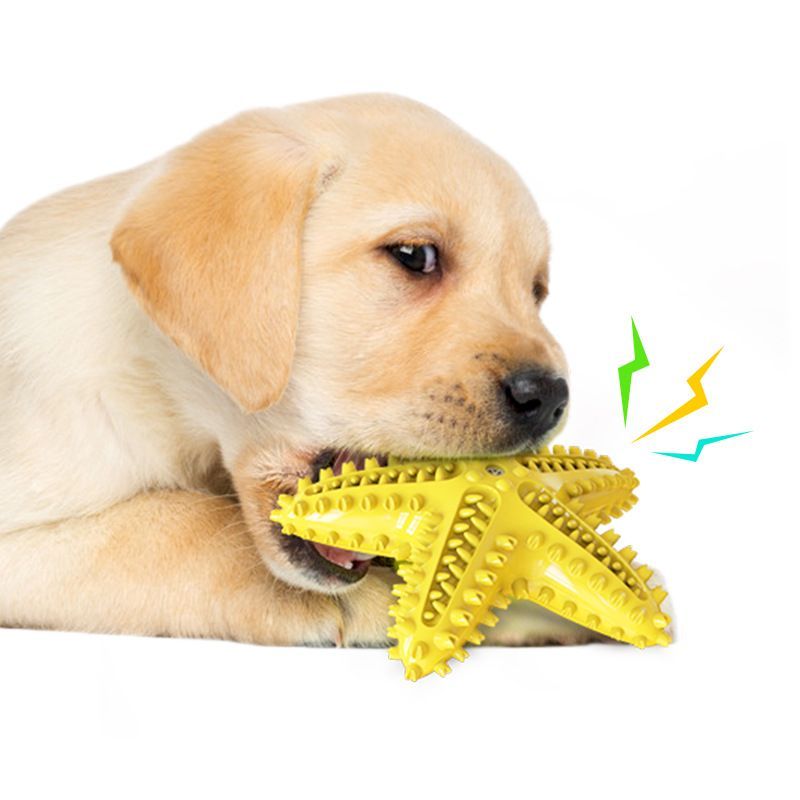 Dog Chew Toy Toothbrushes Starfish Squeaky Molar
