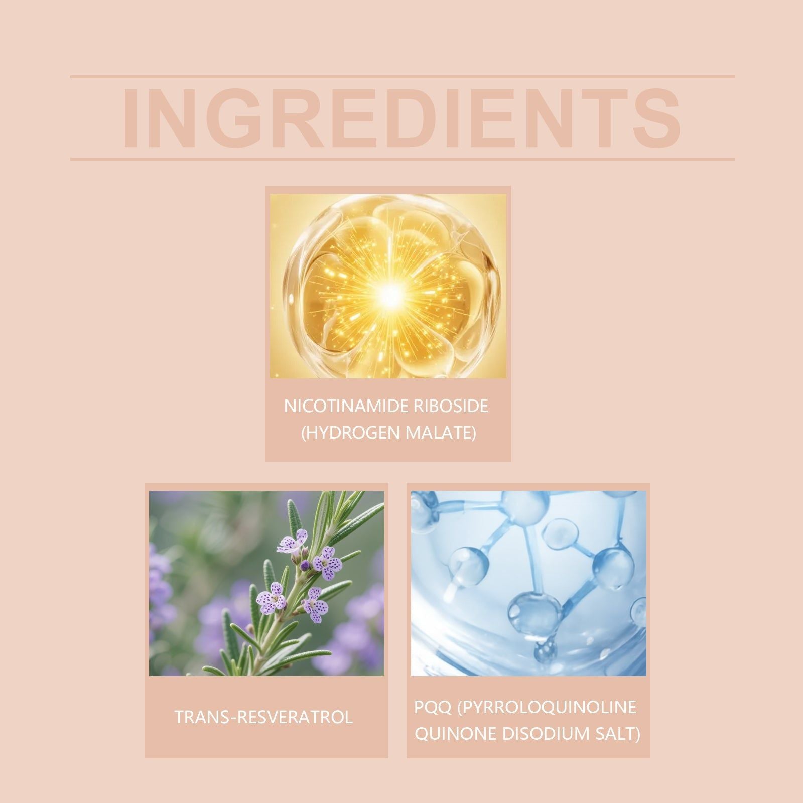 Boost Energy & Vitality with BushAid Body Care Supplement, Supports Cell Health ,60 capsules